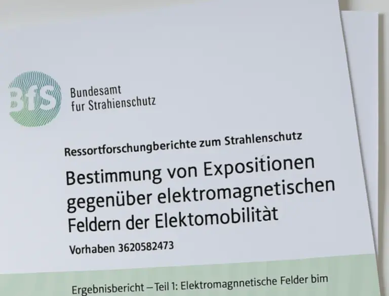 BfS 2025 report in German